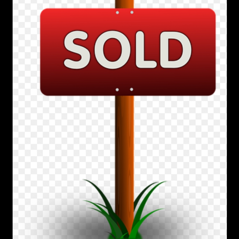 🚨🚨Everything from here on down is sold 🚨🚨